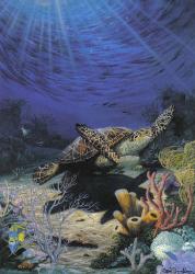 Soaring the Abyss Sea Turtles